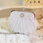 Pearl & Shell Embroidered Evening Bag HB040