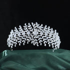 Elegant Flower & Foliage CZ Crystal Bridal Diadem HP022